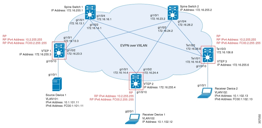 Topology for L3 TRM with PIM-SM for IPv4 and IPv6