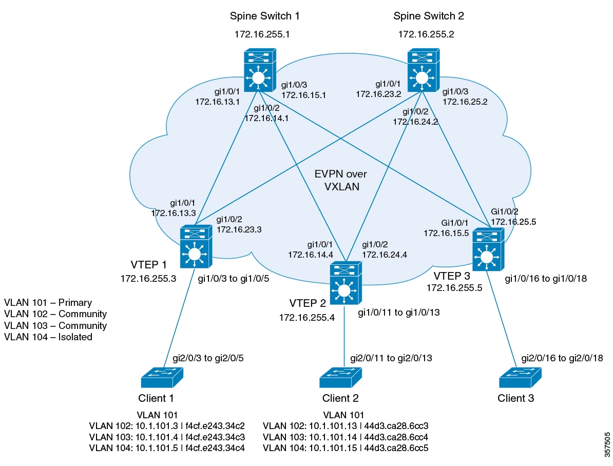 Topology to show Private VLAN in a BGP EVPN VXLAN fabric