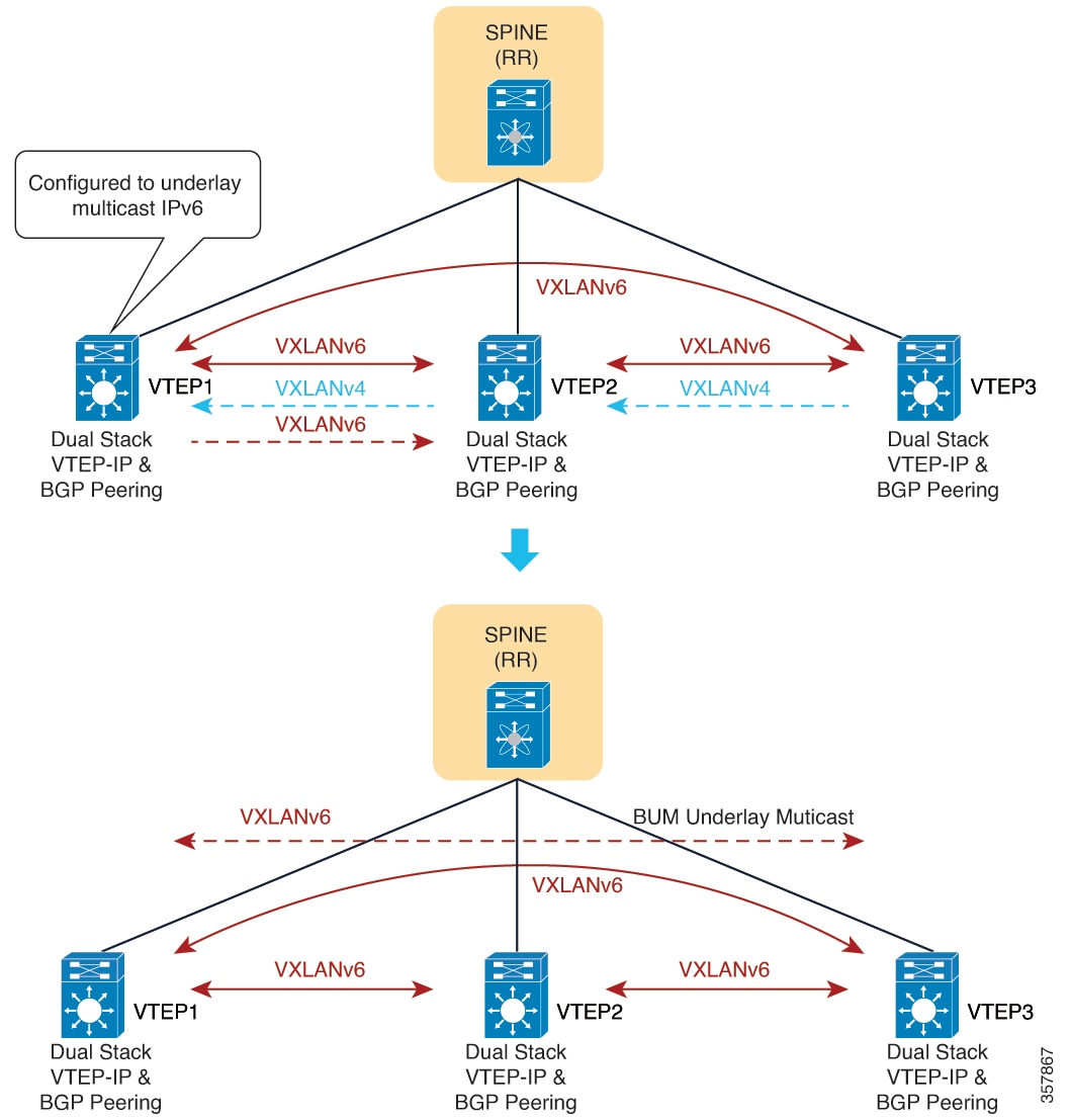 All VTEPs switch to dual stack