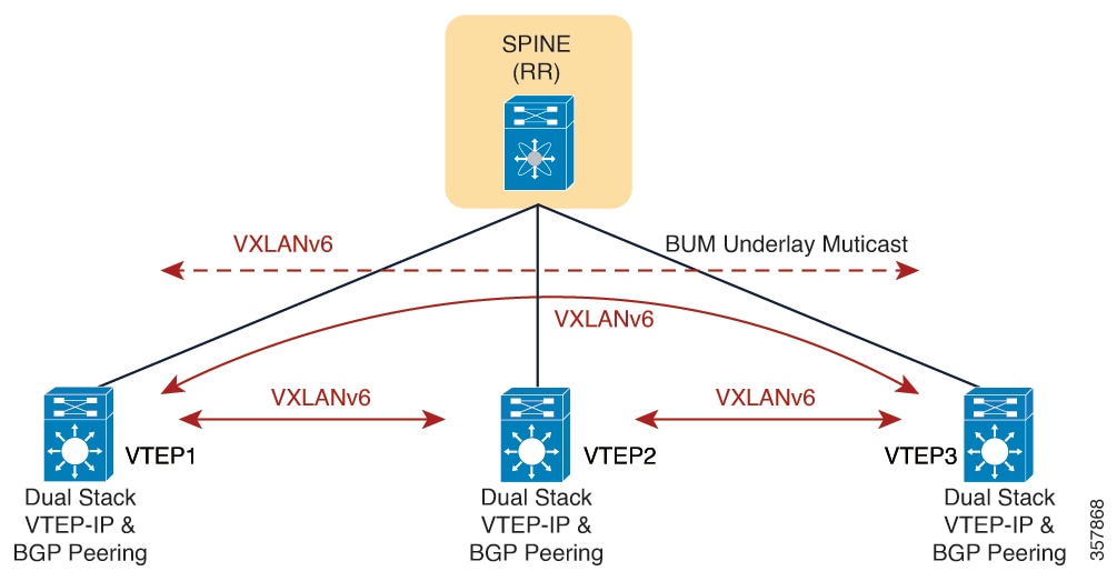 Underlay switches to IPv6 addressing