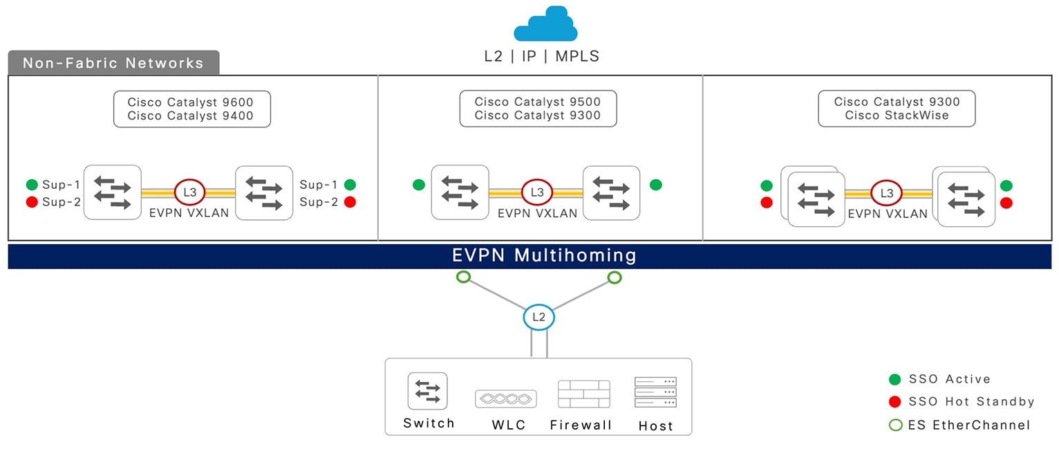 EVPN multihoming: non-fabric networks