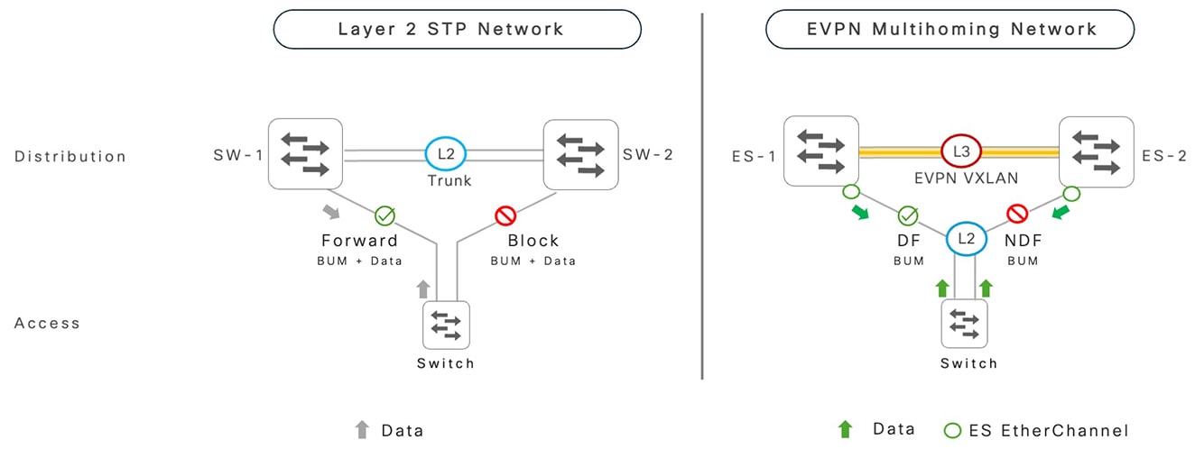Designated forwarder and non-designated forwarder roles