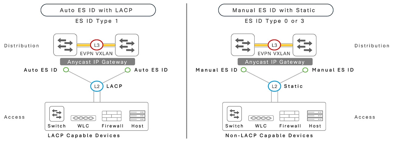 Layer 2 dual-home network