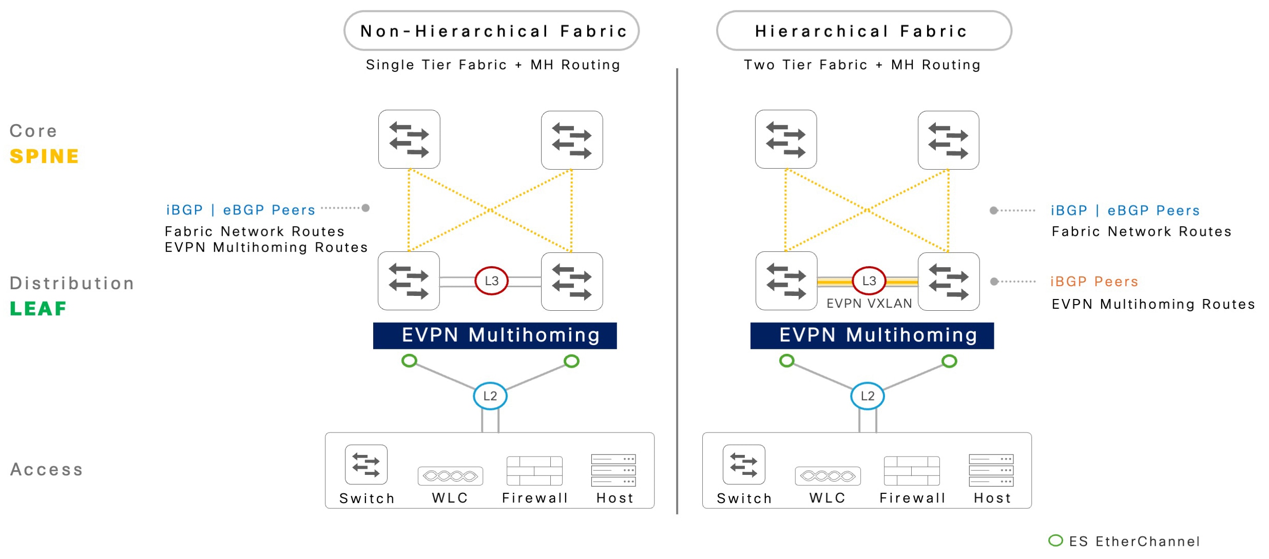 BGP peering alternatives for fabric networks 