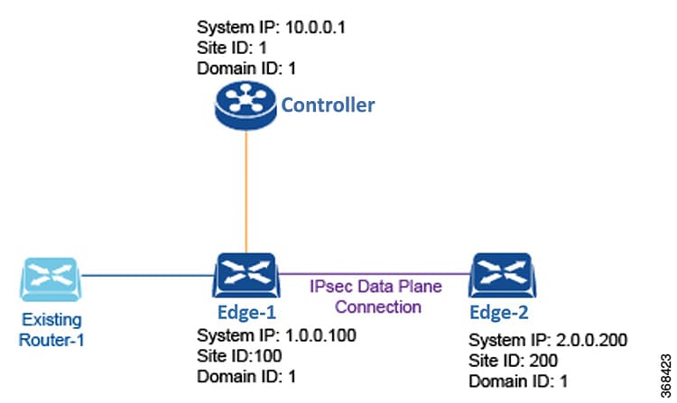 Terminology used to describe a Cisco SD-WAN overlay network