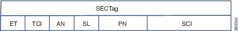 MACsec SECTag Frame Format