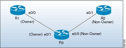 enable auto ip address assignment