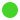 green circle