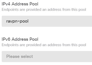 远程接入 VPN 客户端寻址选项。