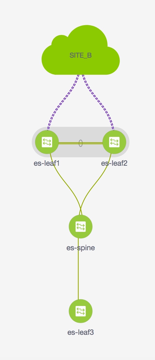 inter-tenant-topology