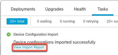 View Import Report