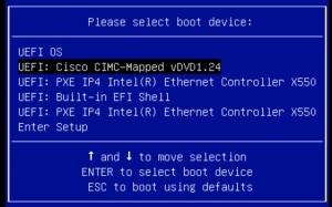 Window displaying the boot device selection options