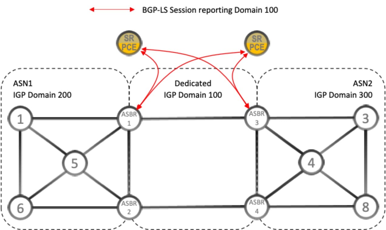 BGP-LS セッション報告ドメイン 100