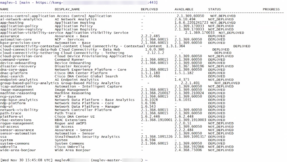 The primary node’s Cisco DNA Center Management port displays all the installed packages’ statuses as DEPLOYED.