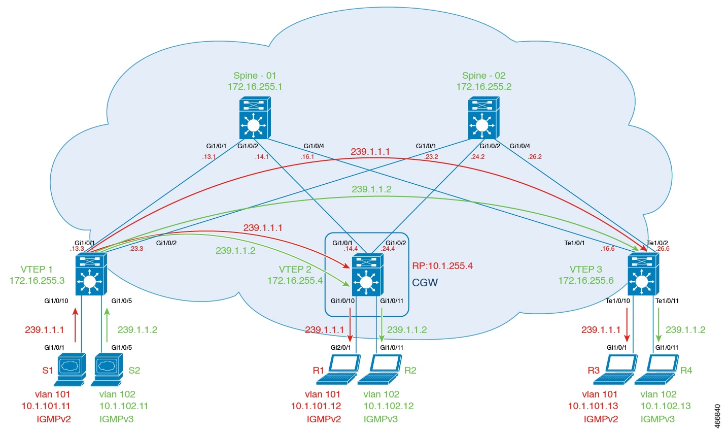 BGP EVPN VXLAN  FabricTopology to show Ingress Replication with IGMP