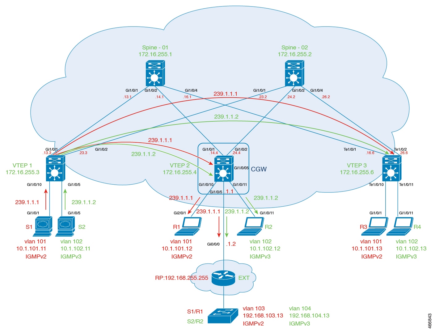 BGP EVPN VXLAN fabric topology for Optimized Layer 2 Multicast IPv4 traffic handoff to external network.