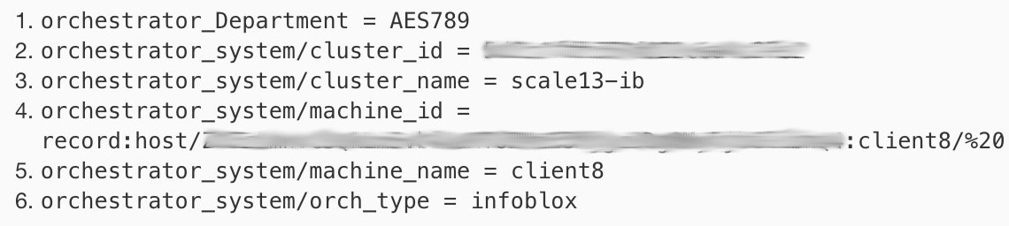 Infoblox ラベルの例