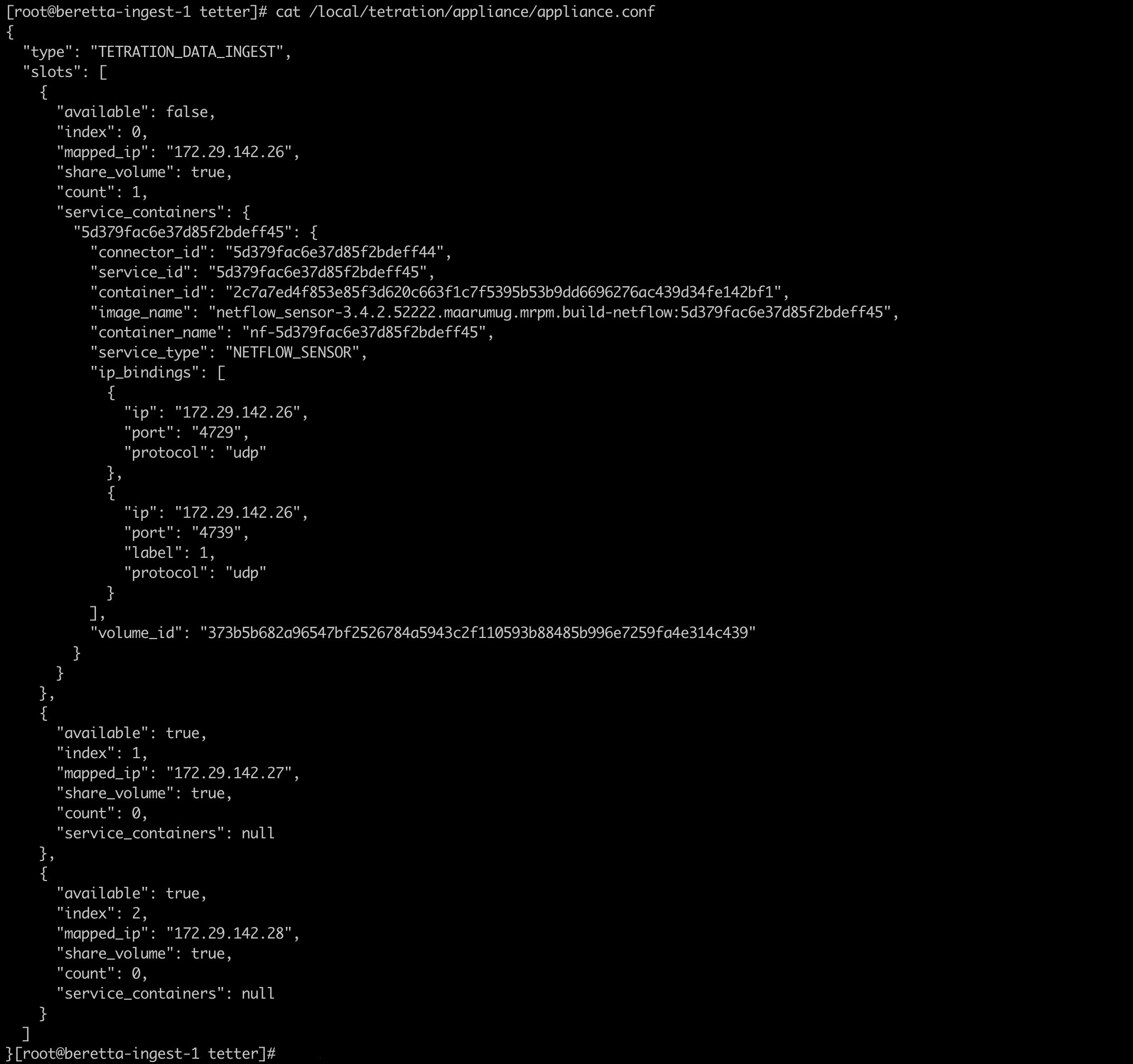 Slot used by the Docker container and list of exposed ports