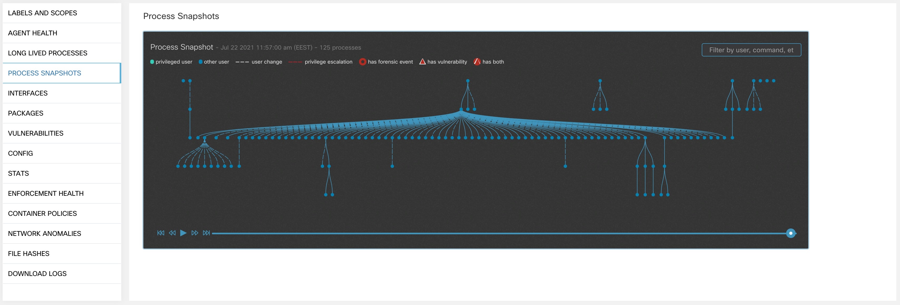 Workload Process Snapshot