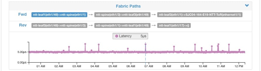 Fabric paths