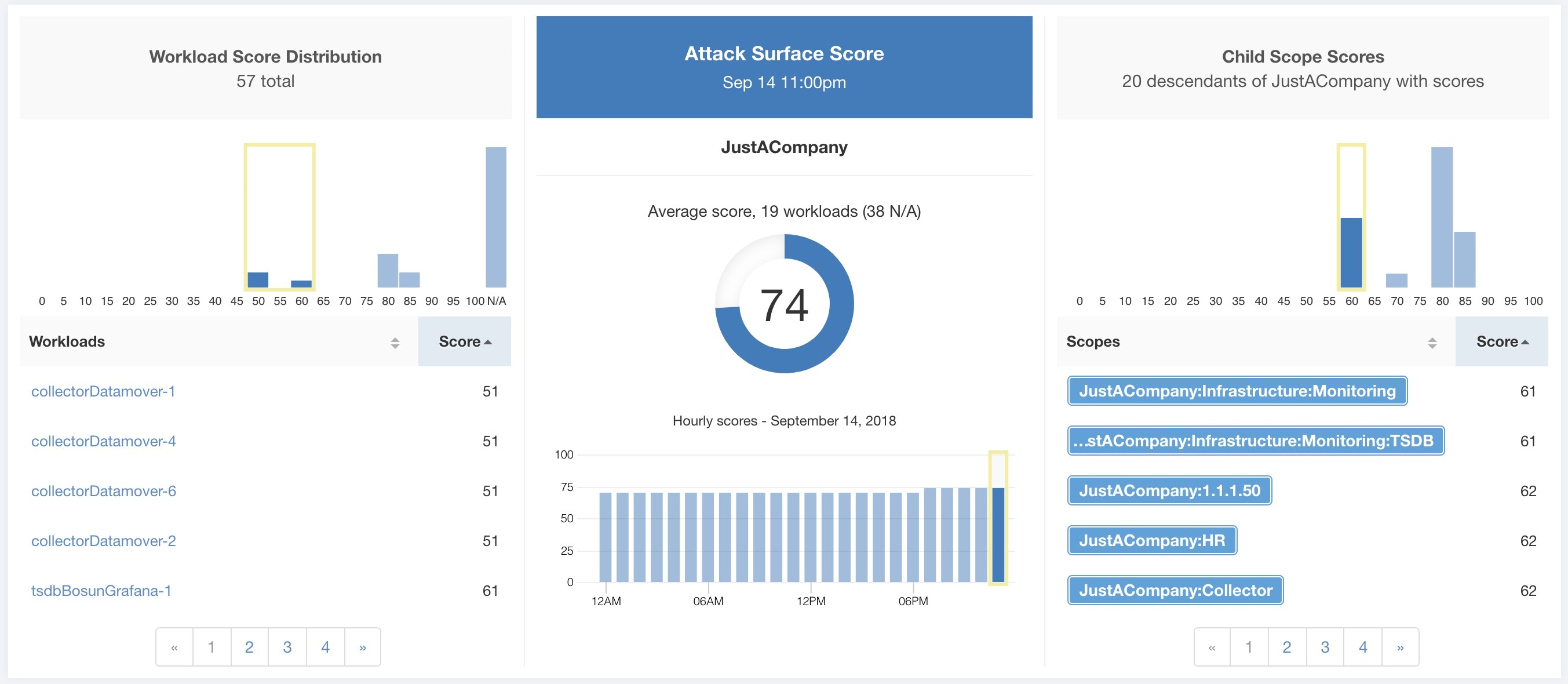 Attack Surface Score Details