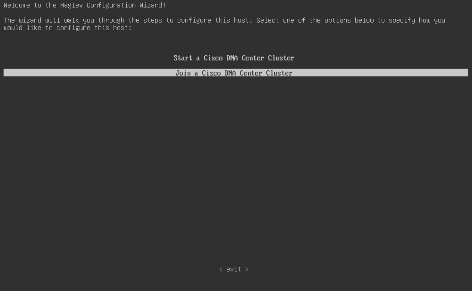 The Maglev Configuration wizard displays two Cisco DNA Center cluster options for how you would like to configure the secondary node.