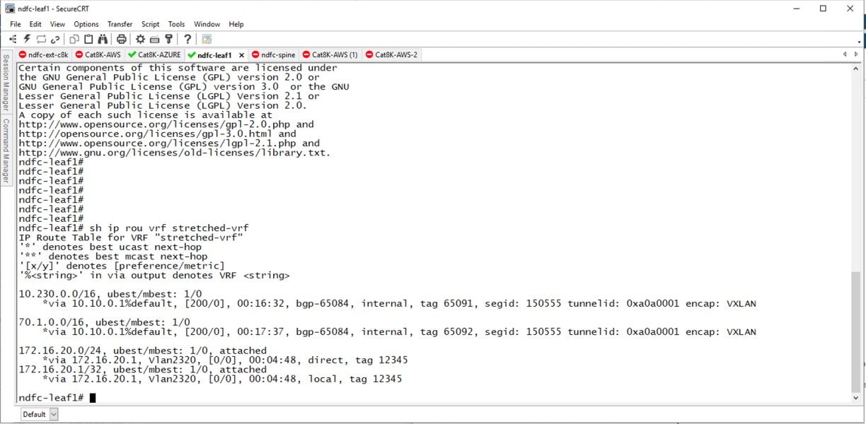 Hybrid Cloud Connectivity Deployment for Cisco NX-OS - Stretched VRF ...