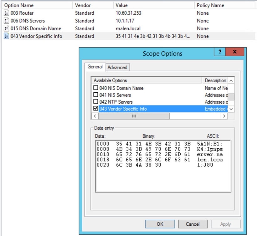 Windows Server での DHCP プールオプションの例。