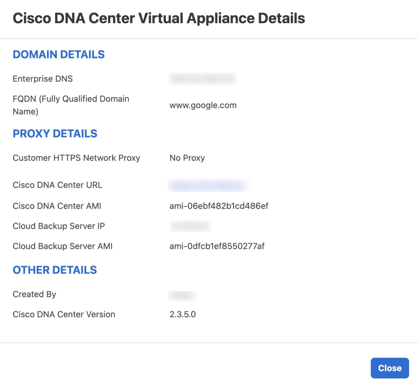 Cisco DNA Center 仮想アプライアンスの詳細 ウィンドウには、ドメインの詳細（エンタープライズ DNS や FQDN など）、プロキシの詳細（Cisco DNA Center の URL やクラウド バックアップ サーバーの IP など）、およびその他の詳細（Cisco DNA Center VA の作成者や Cisco DNA Center のバージョンなど）が表示されます。