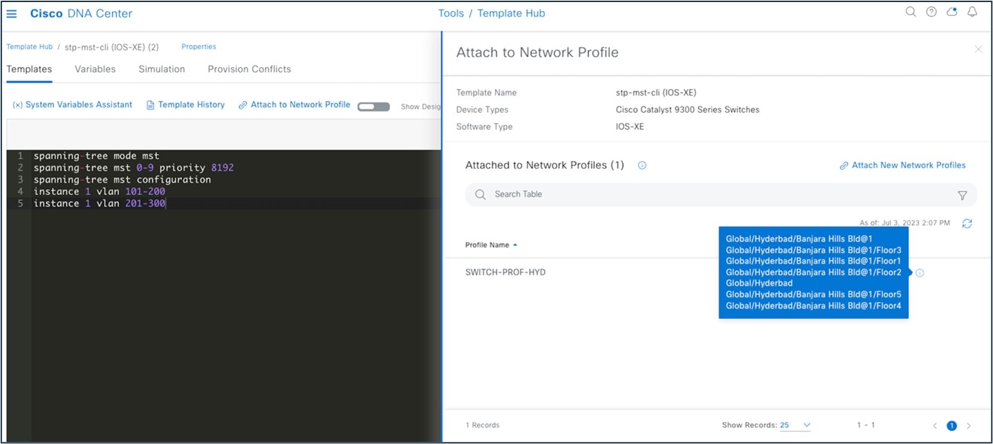 Screenshot of the Template Hub window with the Attach to Network Profile pane displayed.