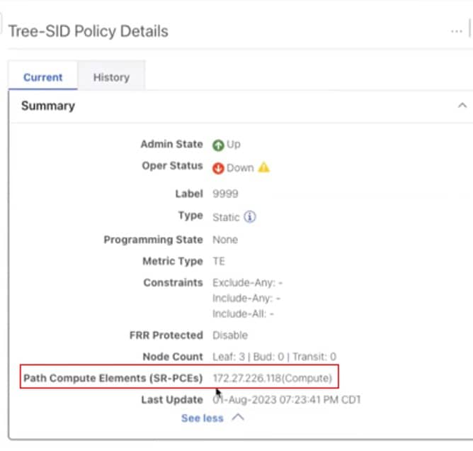 SR-PCE Compute details the SR-PCE used to create the policies