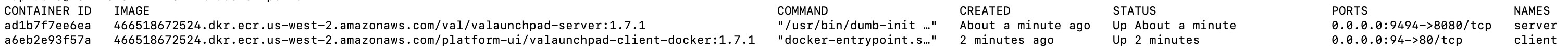 $ docker ps -a の出力には、稼働中のアプリケーションと、アプリケーションの稼働継続時間や各アプリケーションのポート番号などの詳細が表示されます。