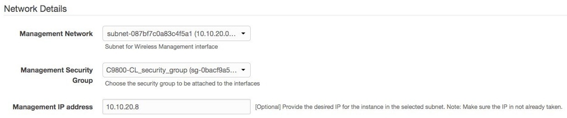 The management network, management security group, and management IP address.