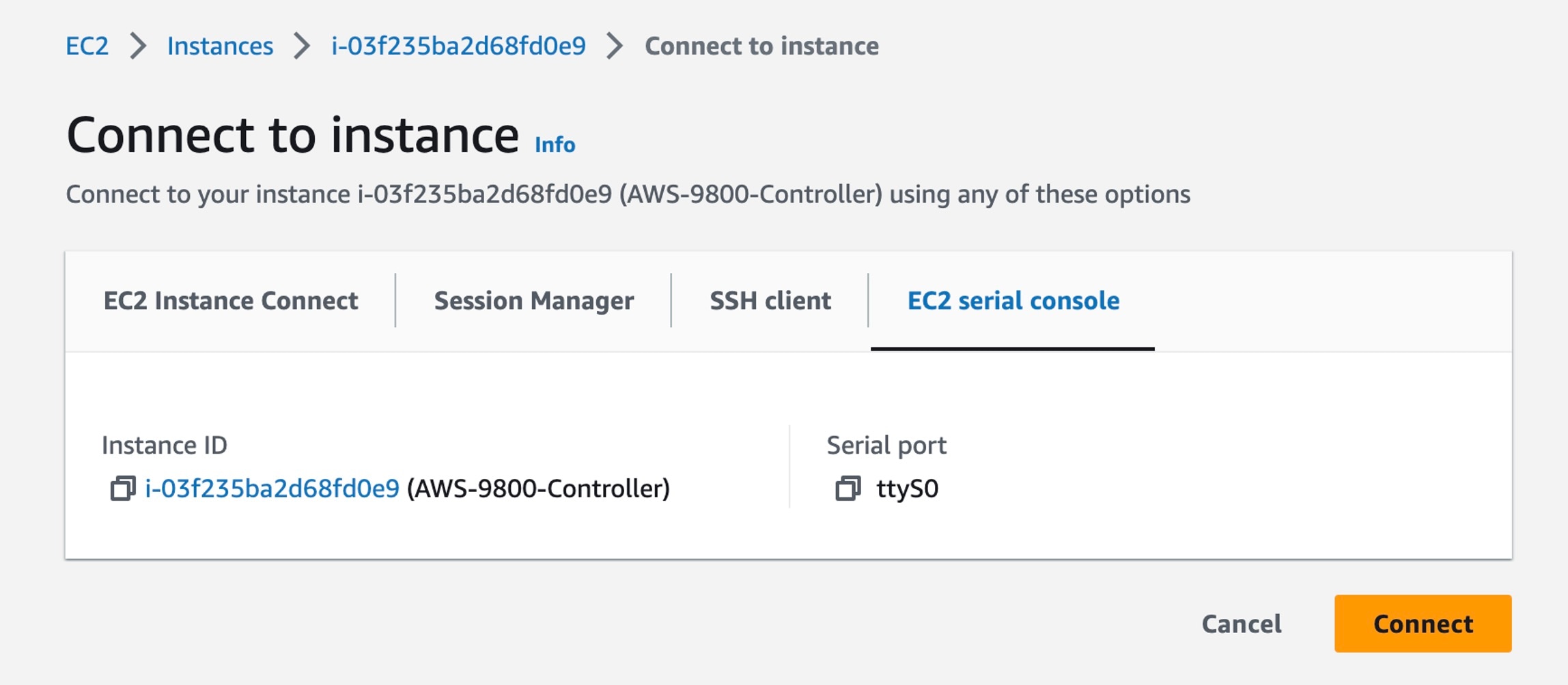 The instance ID and serial port with the option to connect.