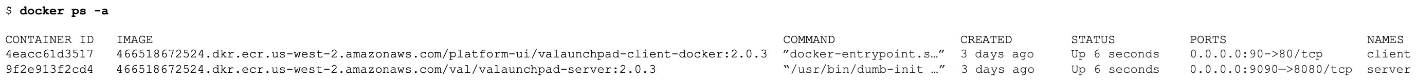 The output of $ docker ps -a shows that both the server and client applications are up.