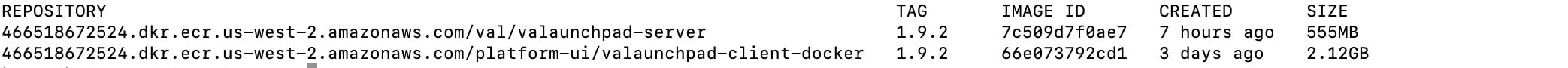 The output of $ docker images displays a list of the Docker images in the repository, along with the TAG column listing the number starting with 1.9.