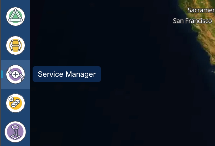 Services Manager