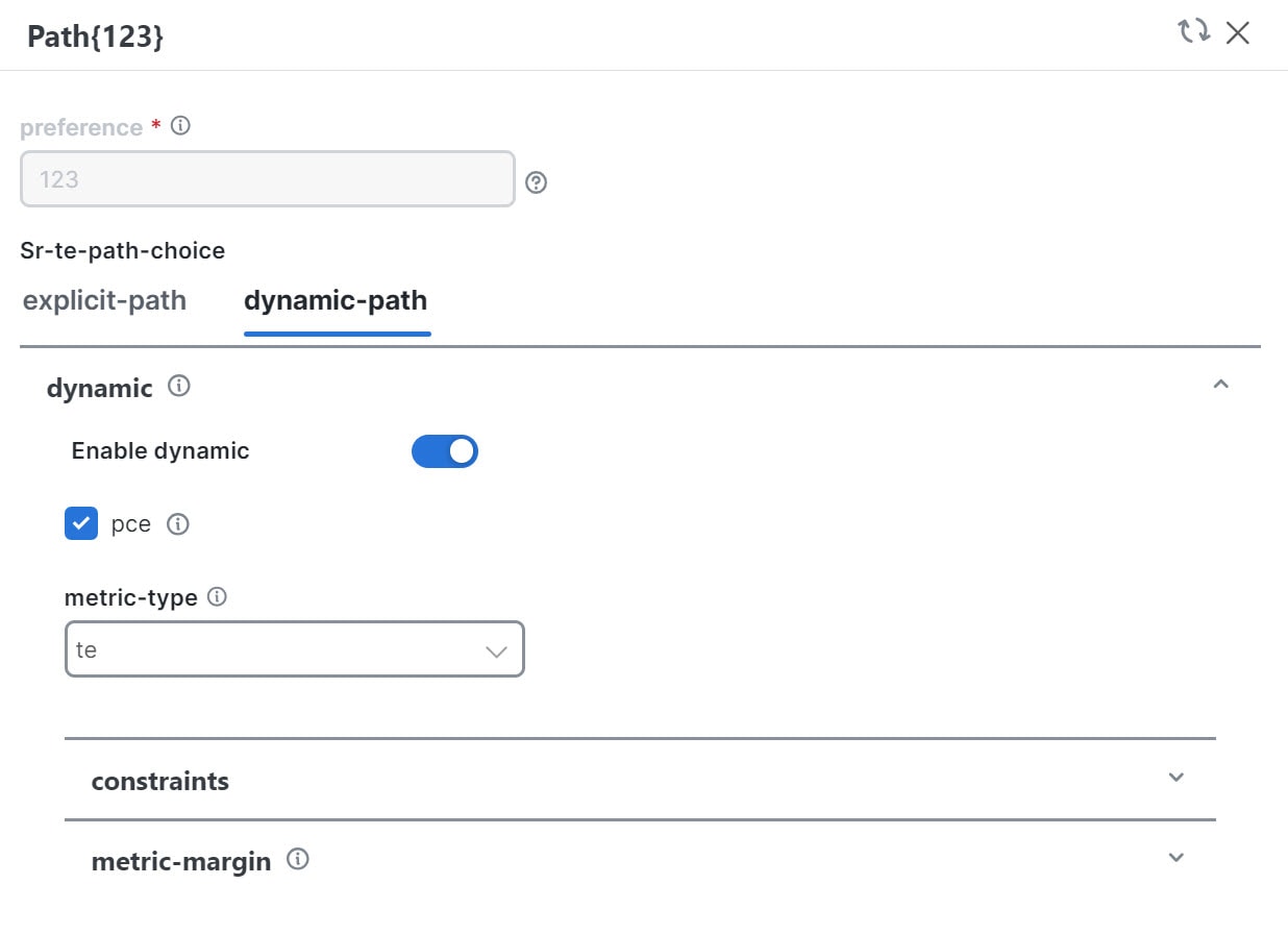 SR-TE Policy Path Parameters