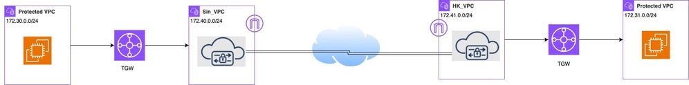 Topology of VPN Communication over Site-to-Site Tunnel