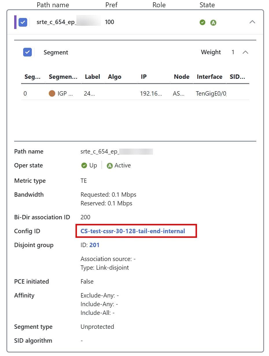 Config ID in candidate path details