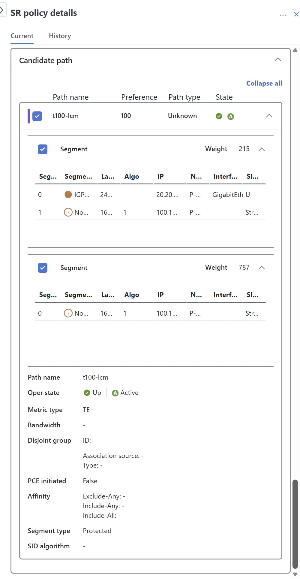 SR policy details with multiple segment list