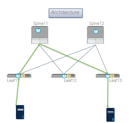 Cisco Nexus Dashboard Insights - Cisco Nexus Dashboard Insights 