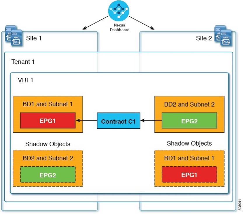 basic-shadow-epg.jpg