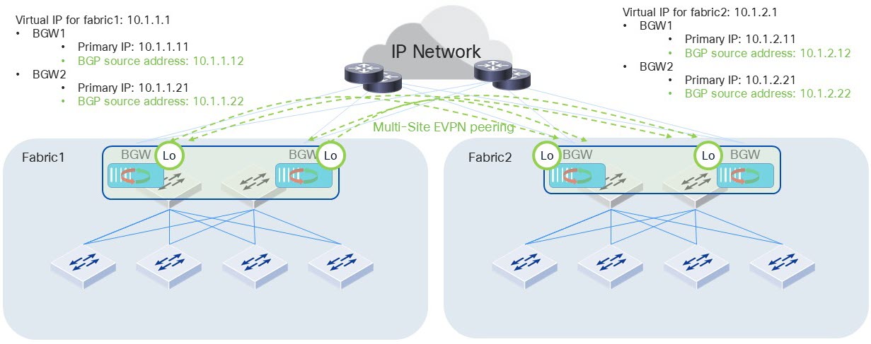 Each border gateway requires one BGP source IP address for the control plane.