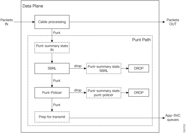 Punt Path Rate-limiting