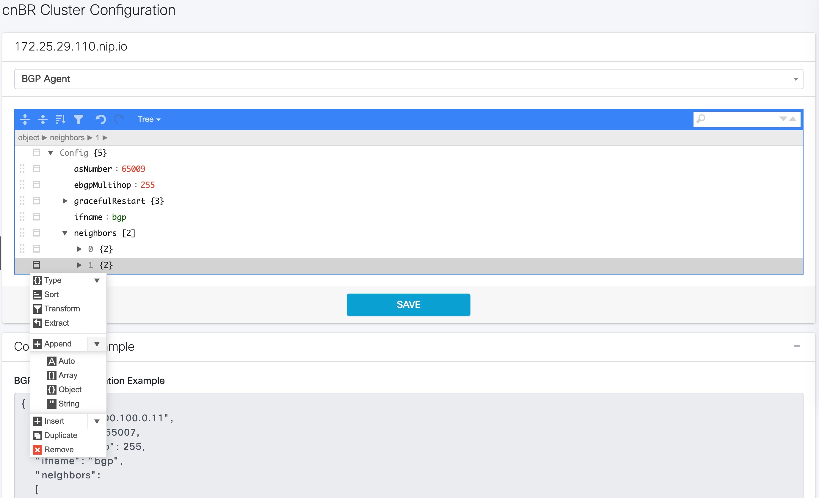 The Screenshot displays the BGP Agent configurator