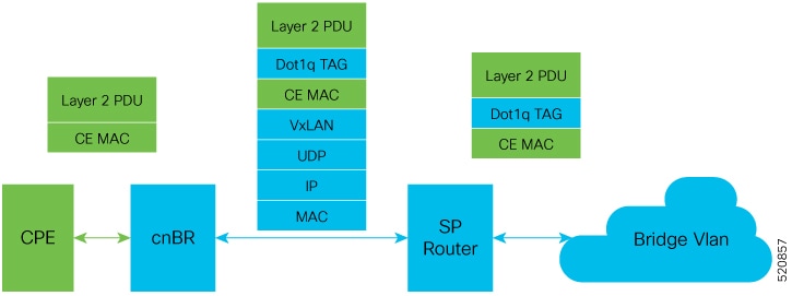 The image depicts the dot1q L2VPN packet flow from CPE to the dot1q tunnel