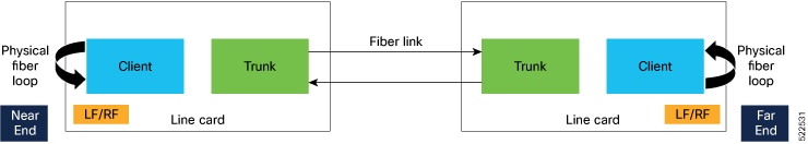 Topology for Link Verification