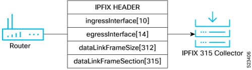 IPFIX 315 packet format used to export data