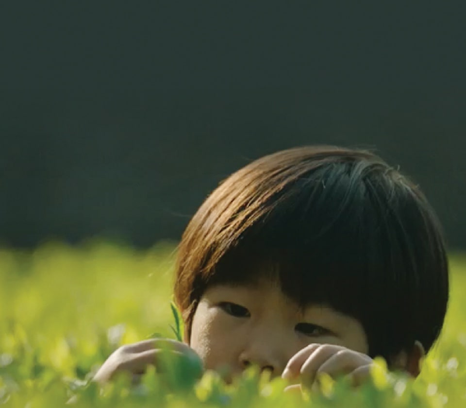 Small boy on a tea farm in Japan